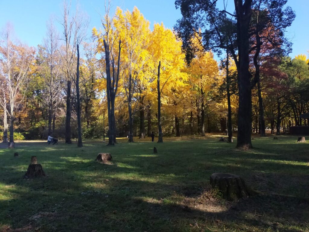 野川公園