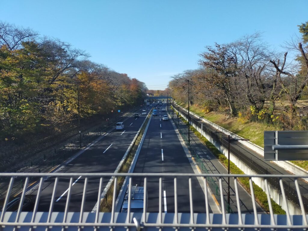 東八道路