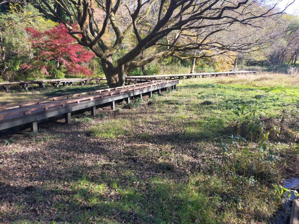 野川自然観察園