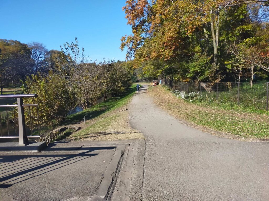 野川沿い遊歩道